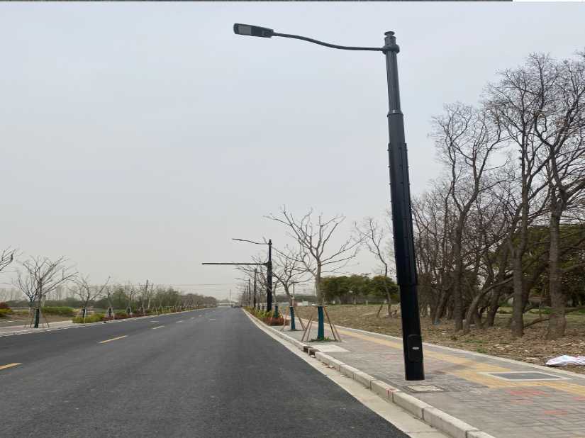 叠彩区上海综合杆 太阳能路灯工程
